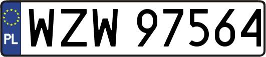 WZW97564