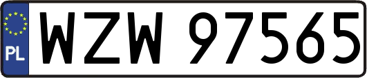 WZW97565