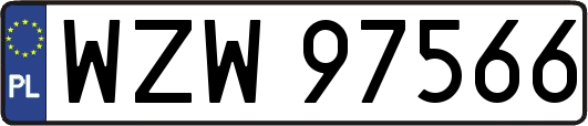 WZW97566