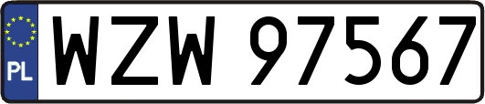 WZW97567