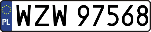 WZW97568