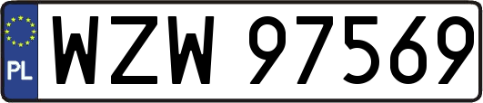 WZW97569