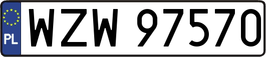 WZW97570
