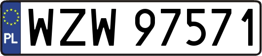 WZW97571