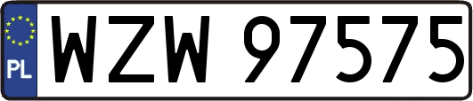 WZW97575