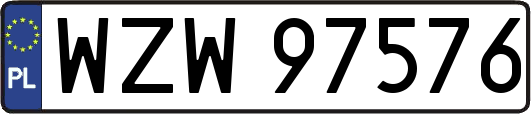 WZW97576