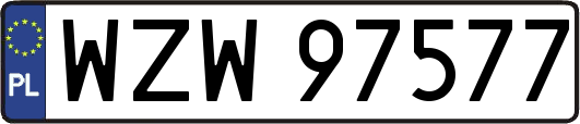 WZW97577