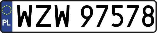 WZW97578