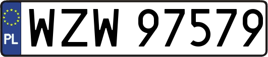 WZW97579