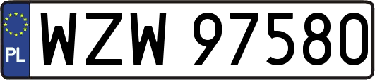 WZW97580