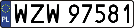 WZW97581