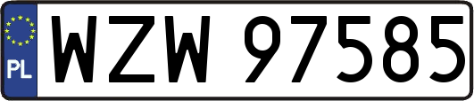 WZW97585