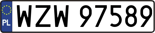 WZW97589