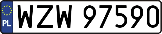 WZW97590