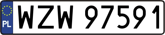 WZW97591