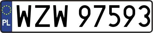 WZW97593