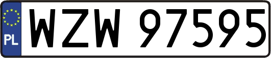 WZW97595