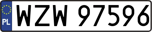 WZW97596