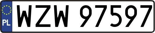 WZW97597