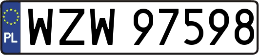 WZW97598