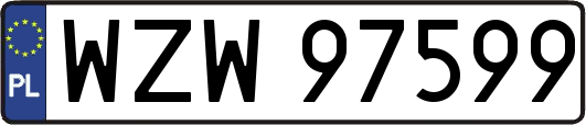 WZW97599