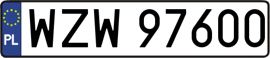 WZW97600