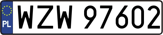 WZW97602
