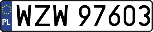WZW97603