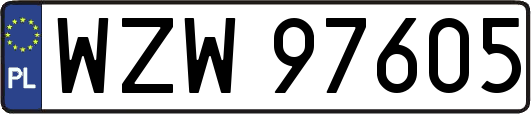 WZW97605