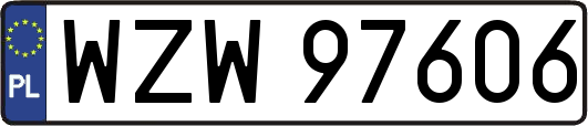 WZW97606