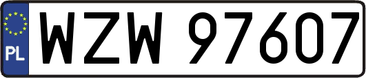 WZW97607
