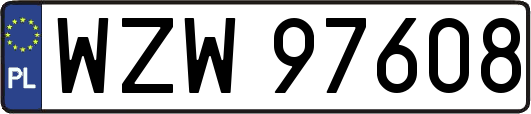 WZW97608