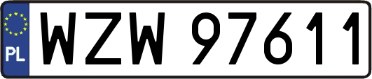 WZW97611