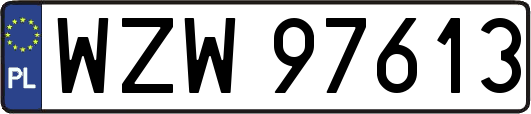 WZW97613