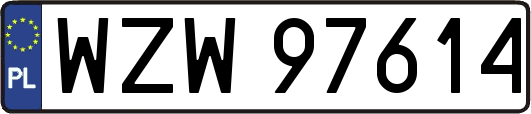 WZW97614