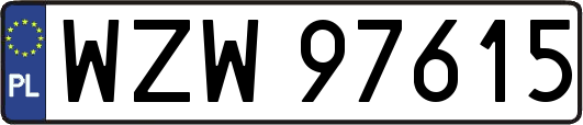 WZW97615