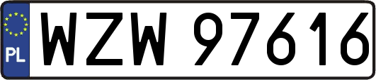 WZW97616
