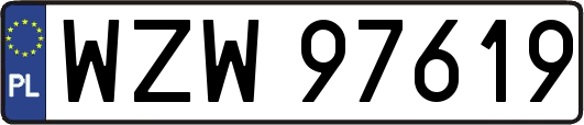 WZW97619