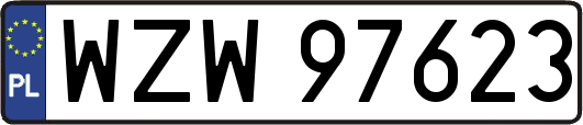 WZW97623