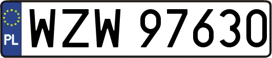 WZW97630