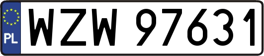 WZW97631