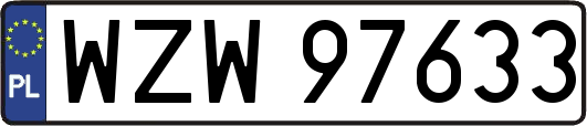 WZW97633
