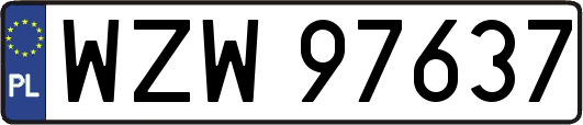 WZW97637