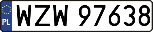 WZW97638