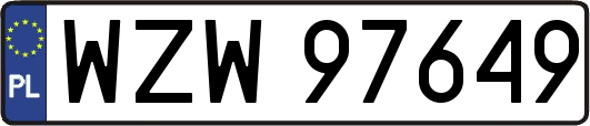 WZW97649