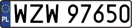 WZW97650