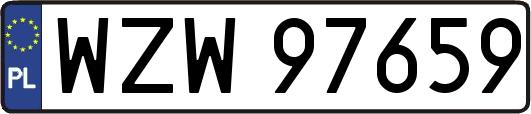 WZW97659