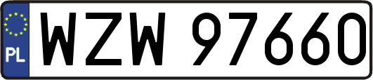 WZW97660