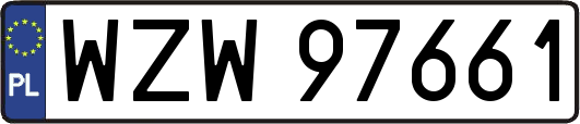 WZW97661