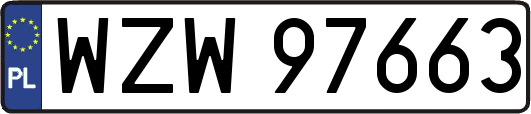 WZW97663